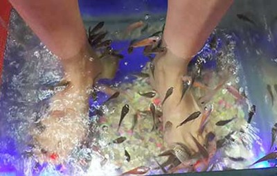 爱生活，爱养生 北京拉手网足浴电器带来的保健新体验